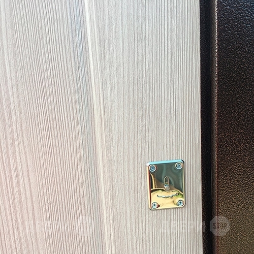 Входная металлическая Дверь Ратибор Форт Люкс Капучино в Электрогорске