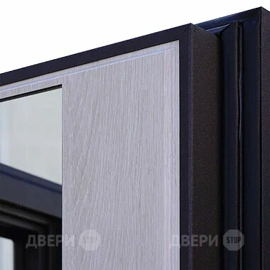 Входная металлическая Дверь Шелтер (SHELTER) Филадельфия Зеркало в Электрогорске