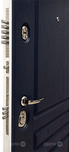 Входная металлическая Дверь Сударь МД-45 в Электрогорске