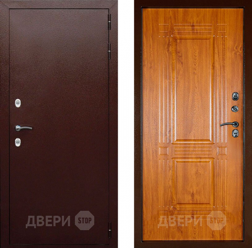 Входная металлическая Дверь Аргус Тепло-1 в Электрогорске