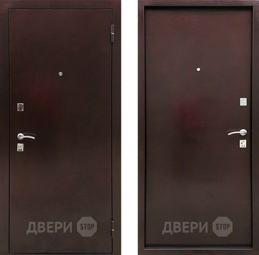 Дверь Ратибор Дачная металл/металл в Электрогорске