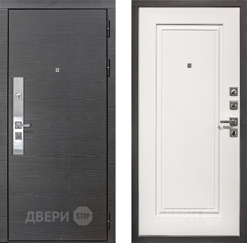 Входная металлическая Дверь Сударь МХ-39 в Электрогорске