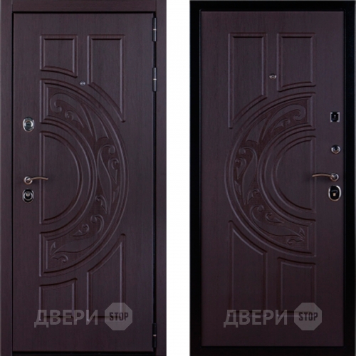 Дверь Меркурий в Электрогорске