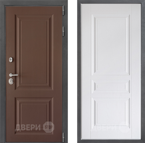 Входная металлическая Дверь Дверной континент ДК-3/729 ФЛ-243 Альберо Браш серебро в Электрогорске