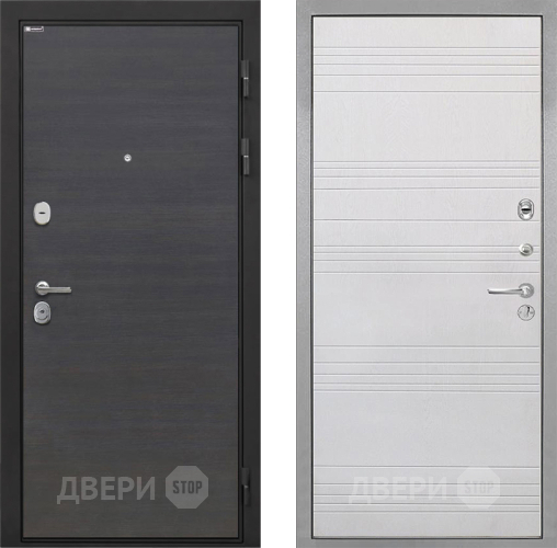 Входная металлическая Дверь Интекрон (INTECRON) Гектор Эковенге ФЛ-316 Белый ясень в Электрогорске
