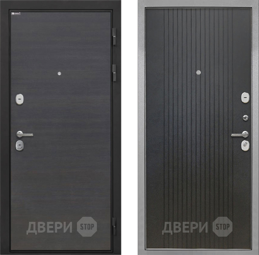 Входная металлическая Дверь Интекрон (INTECRON) Гектор Эковенге ФЛ-295 Лофт черный в Электрогорске