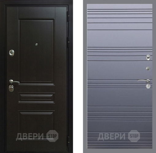 Входная металлическая Дверь Рекс (REX) Премиум-Н Line Силк титан в Электрогорске