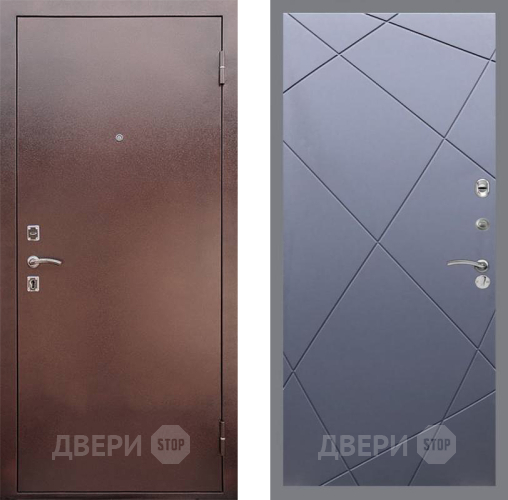 Входная металлическая Дверь Рекс (REX) 1 FL-291 Силк титан в Электрогорске
