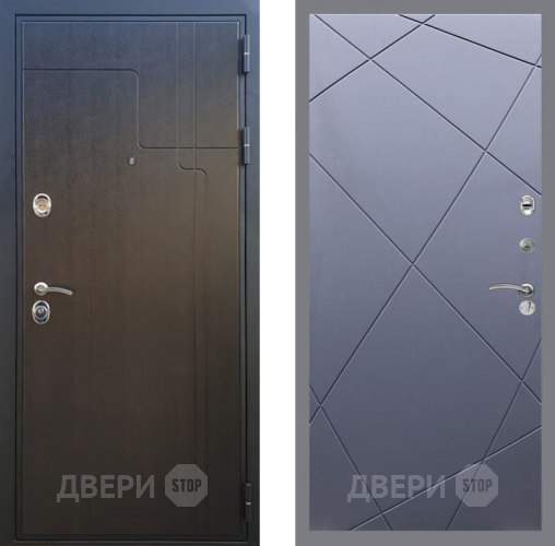 Входная металлическая Дверь Рекс (REX) Премиум-246 FL-291 Силк титан в Электрогорске