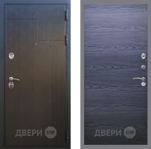 Входная металлическая Дверь Рекс (REX) Премиум-246 GL Дуб тангенальный черный в Электрогорске