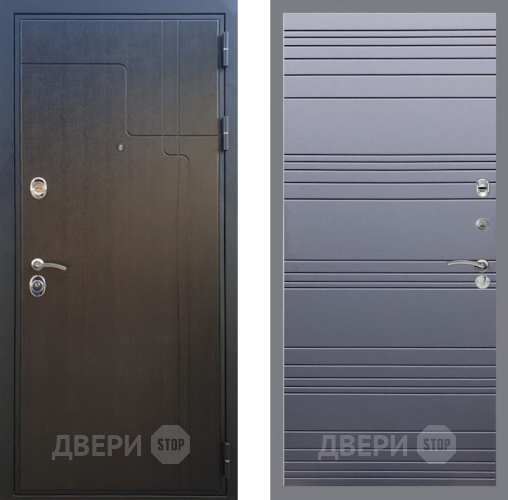 Входная металлическая Дверь Рекс (REX) Премиум-246 Line Силк титан в Электрогорске