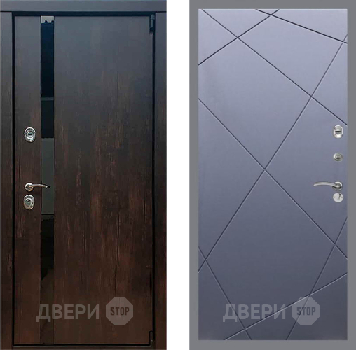 Входная металлическая Дверь Рекс (REX) 26 FL-291 Силк титан в Электрогорске