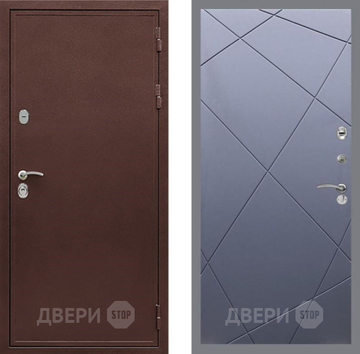 Дверь Рекс (REX) 5 металл 3 мм FL-291 Силк титан в Электрогорске