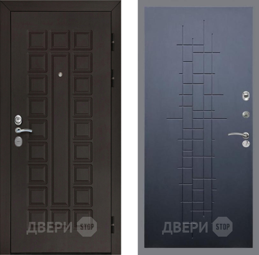 Входная металлическая Дверь Рекс (REX) Сенатор Cisa FL-289 Ясень черный в Электрогорске