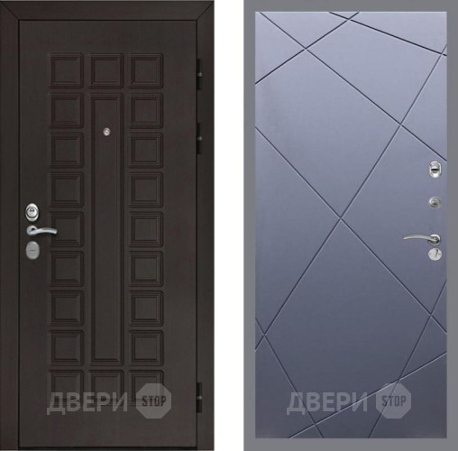 Входная металлическая Дверь Рекс (REX) Сенатор Cisa FL-291 Силк титан в Электрогорске